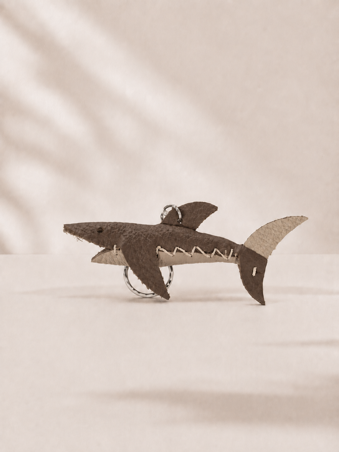 CEDAR - SHARK