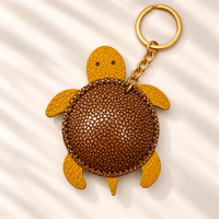 TURTLE-FIN6