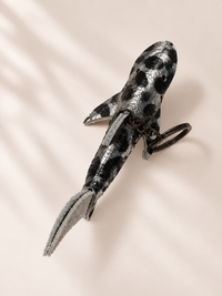 SILBER LEO - SHARK