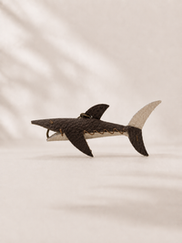 BROWN - SHARK