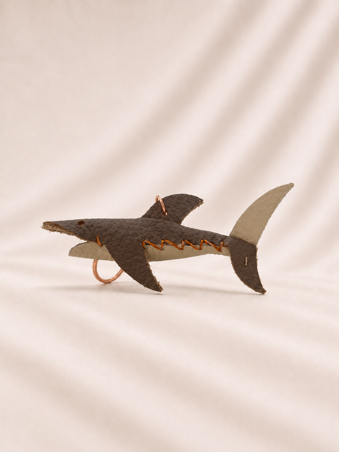 COFFEE - SHARK