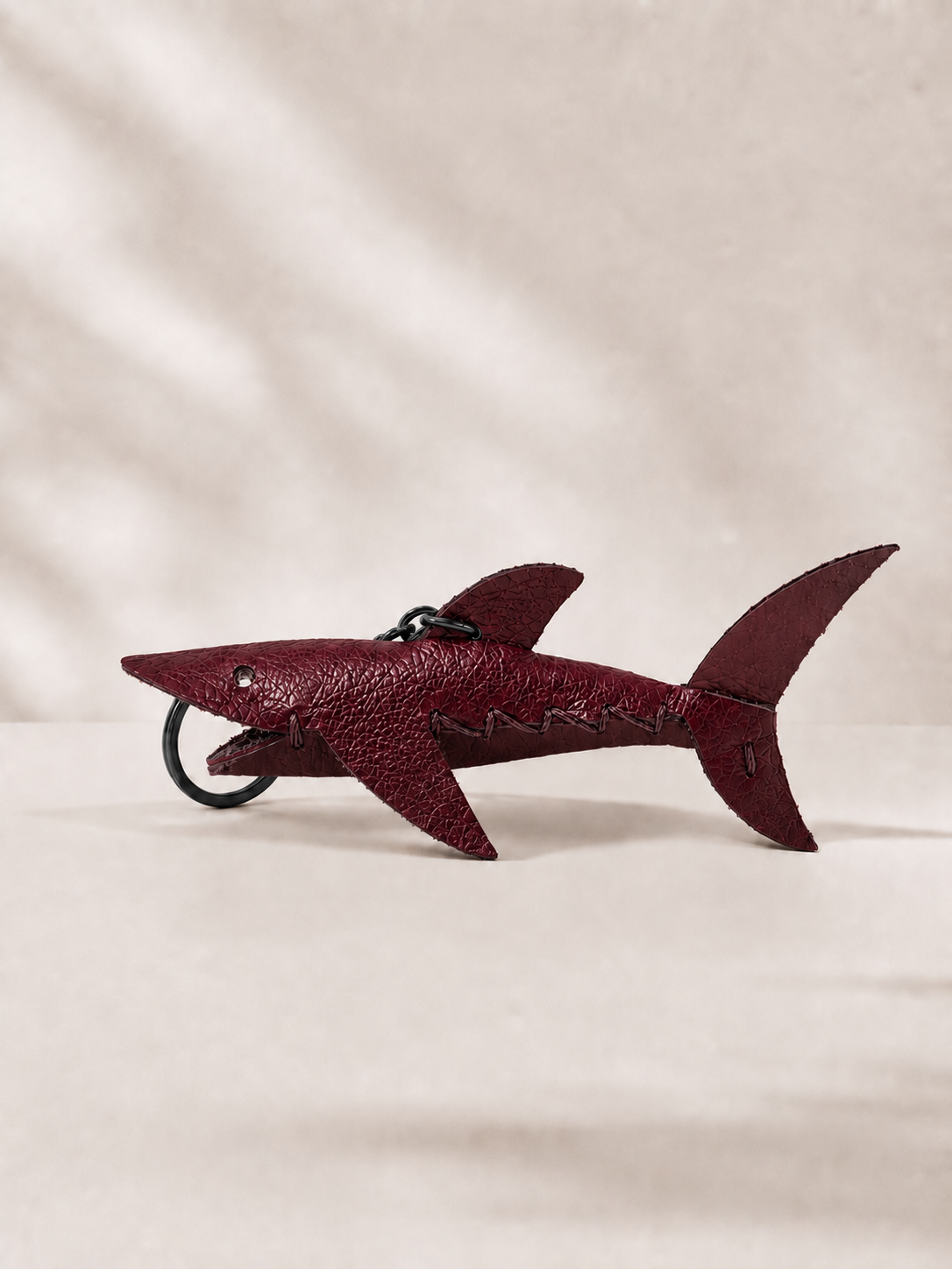 BORDEAUX - SHARK