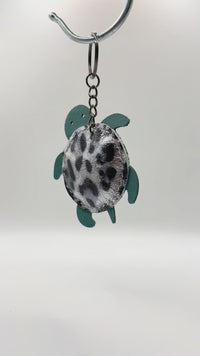 TURTLE-FIN4