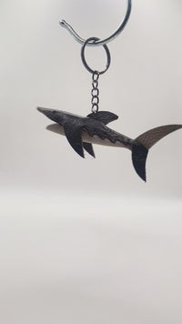 CHOKOLATE - SHARK