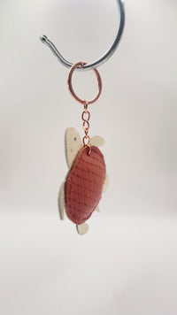 TURTLE-FIN12