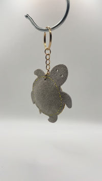 TURTLE-FIN2