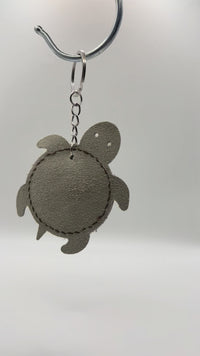 TURTLE - FIN1