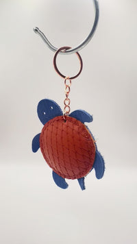 TURTLE-FIN11