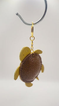 TURTLE-FIN6