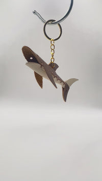 CAPPUCCINO - SHARK
