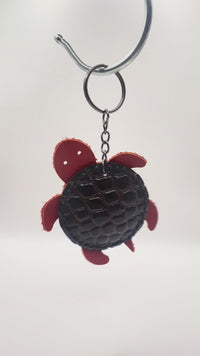 TURTLE-FIN5