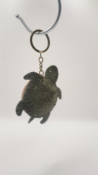 TURTLE-FIN7