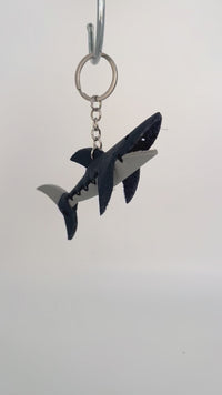 NAVY BLUE - SHARK